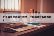 广东麻将纯大胡小程序（广东麻将什么叫大胡）
