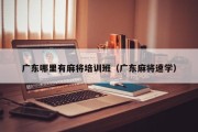 广东哪里有麻将培训班（广东麻将速学）